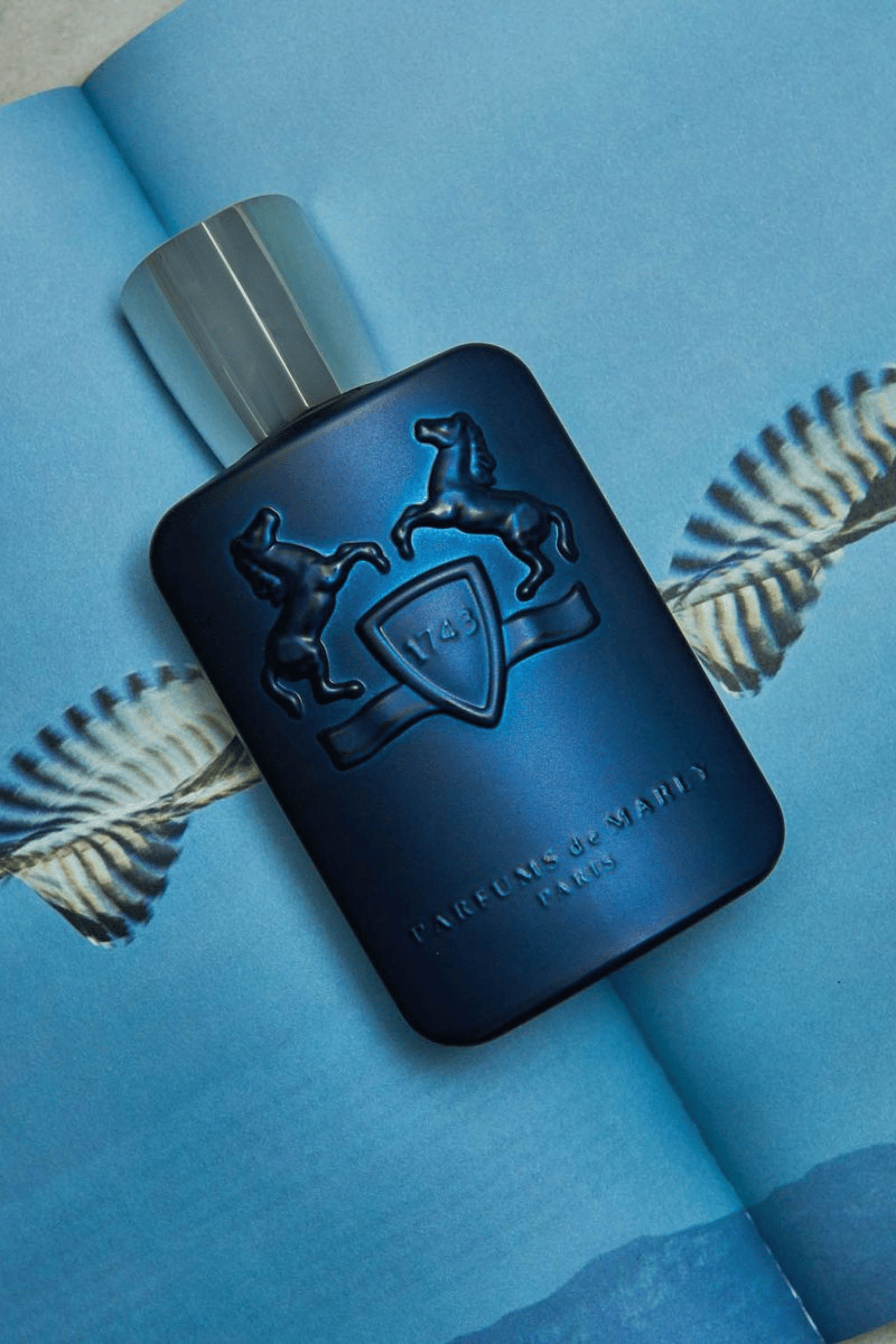 Perfumeria Nicho