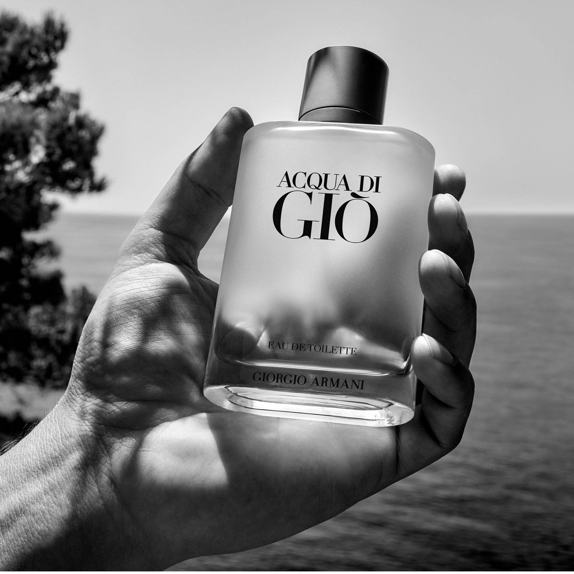 Giorgio Armani Acqua di Gio EDT 100 ml