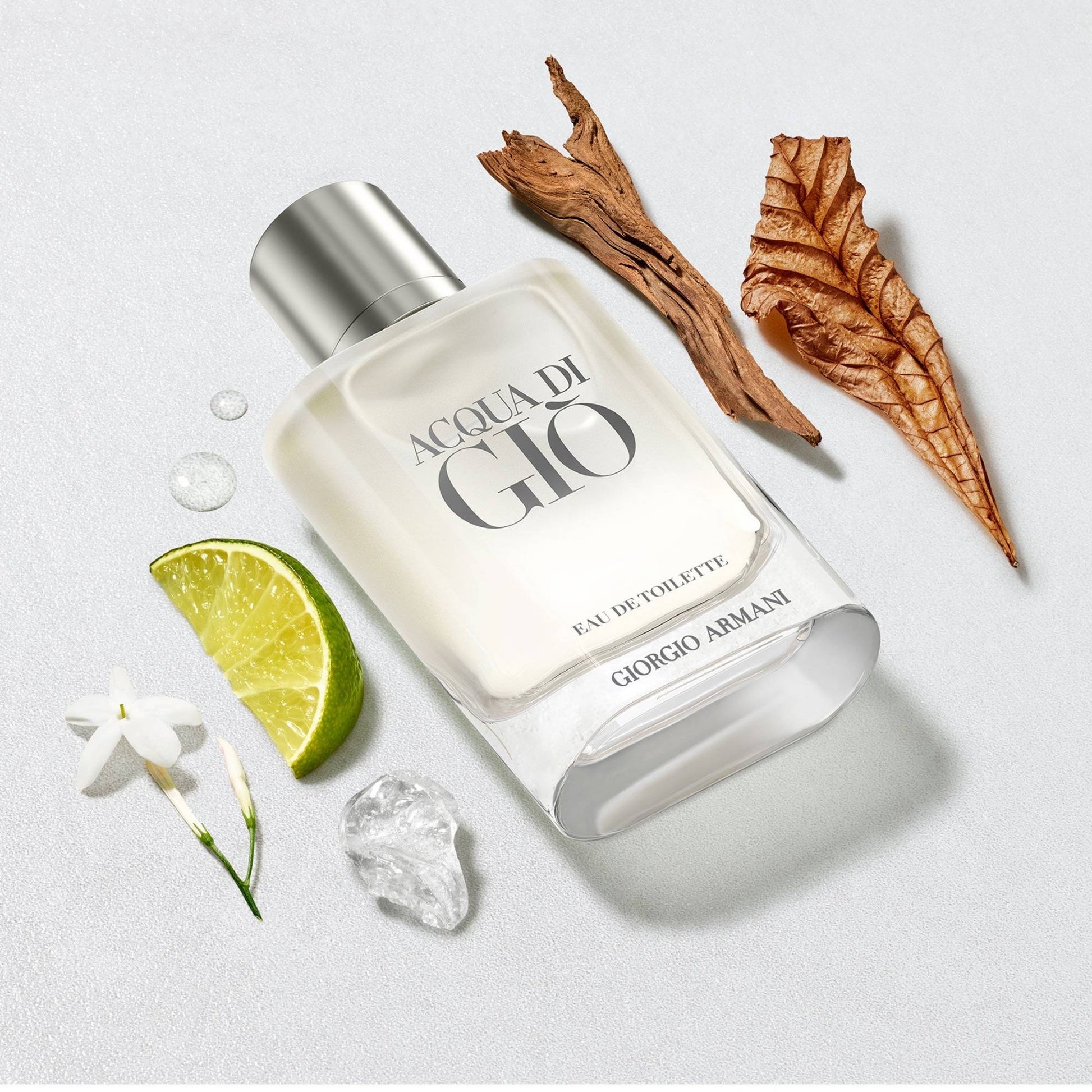 Giorgio Armani Acqua di Gio EDT 100 ml