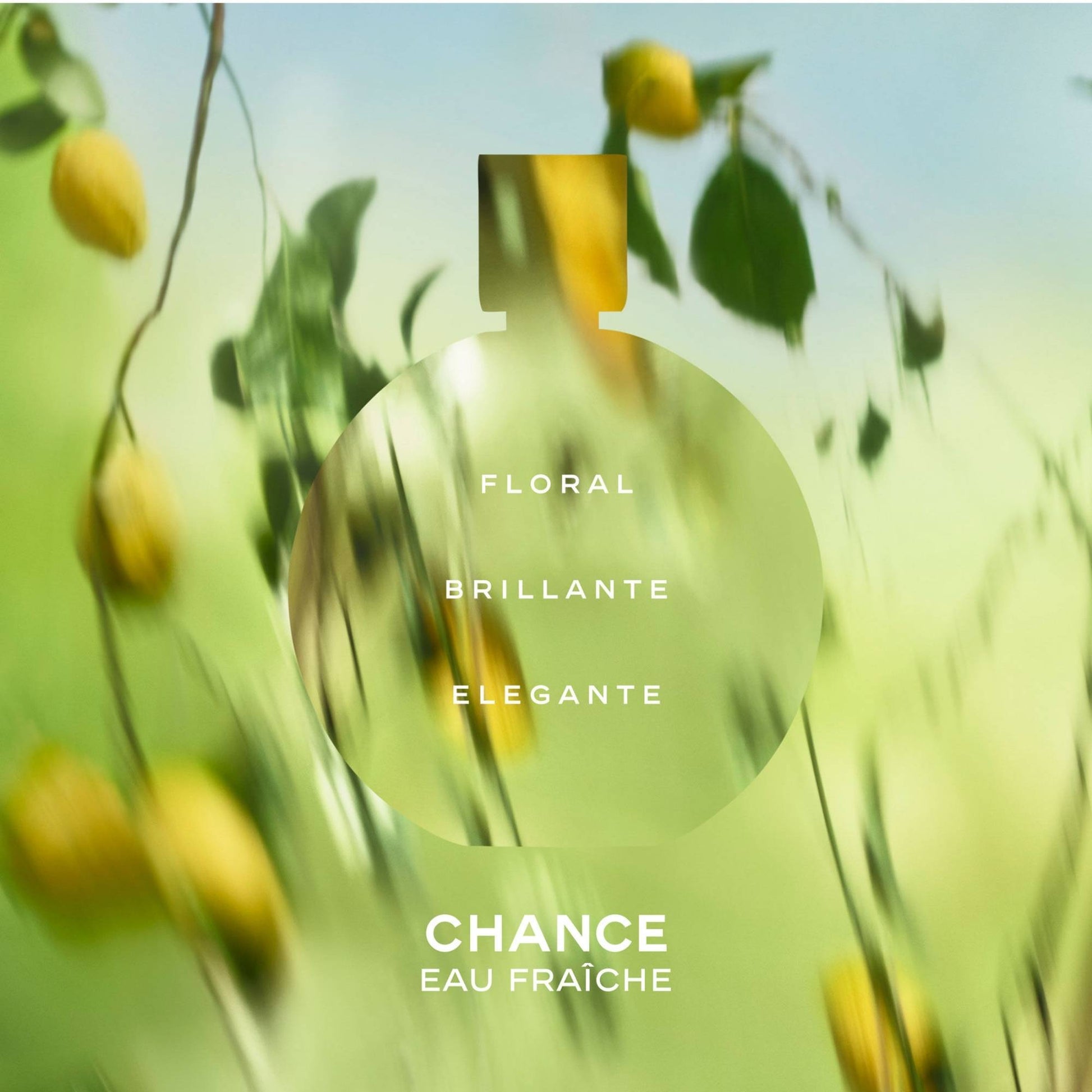 Chanel Chance Eau Fraîche EDP 100 ml